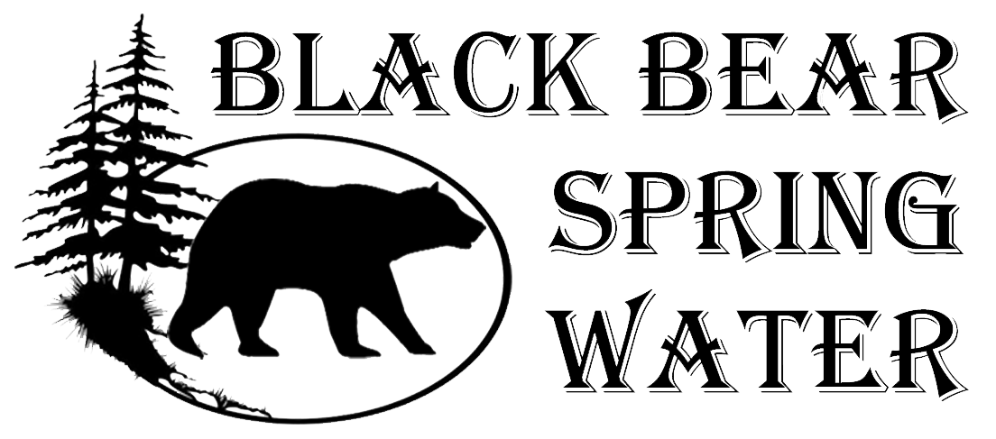 Black Bear Spring